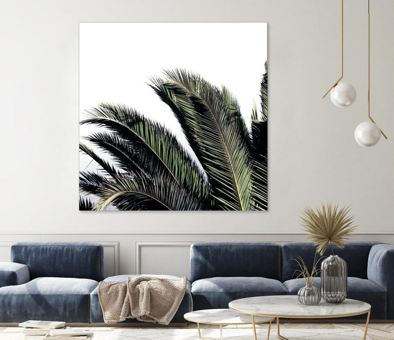 \"Cape Storm\" Giant Art 54x54 Wall Art