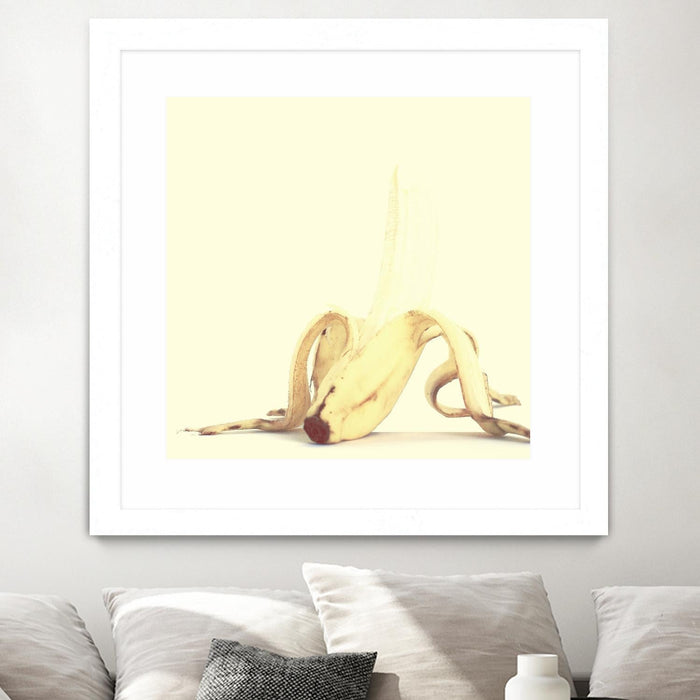 \"Banada Honey Puff\" Matted and Framed White 36x36 Wall Art