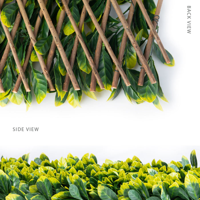 Willow Expandable Laurel Trellis - 40\" x 80\" 