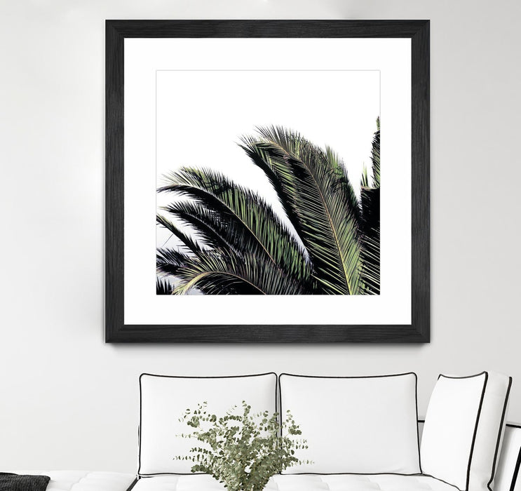 \"Cape Storm\" Matted and Framed Black 36x36 Wall Art