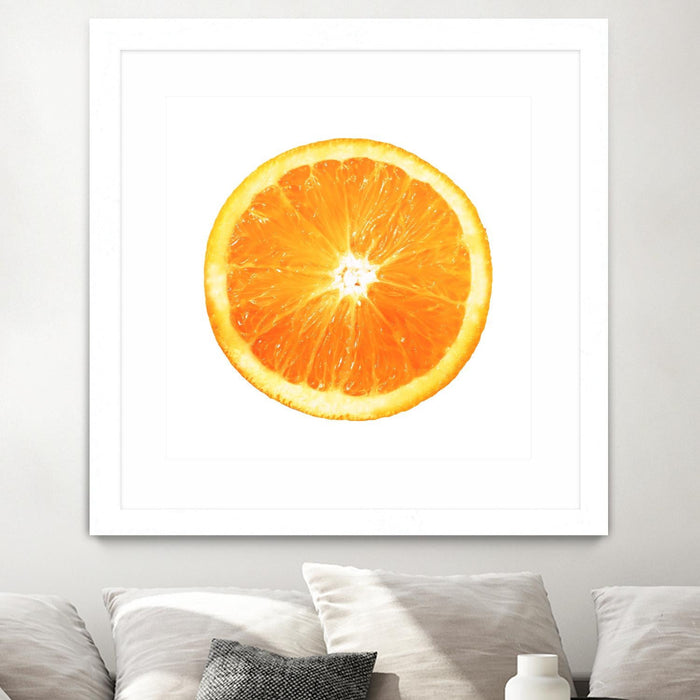 \"Citrus Cultivar\" Matted and Framed White 30x30 Wall Art