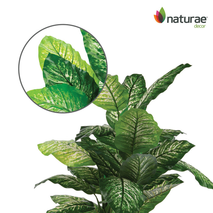 Artificial 47\" Dieffenbachia In Black Pot 