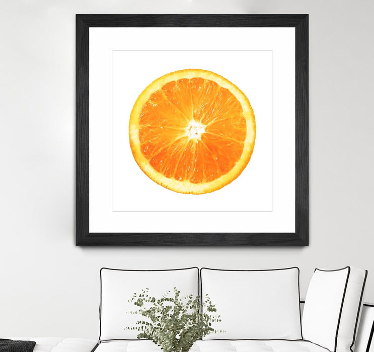 \"Citrus Cultivar\" Matted and Framed Black 36x36 Wall Art