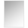 Border Silver 40\" Mirror
