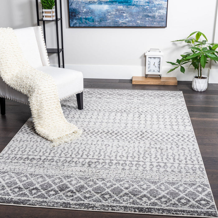 Roma Safi Grey 4x6 Area Rug 