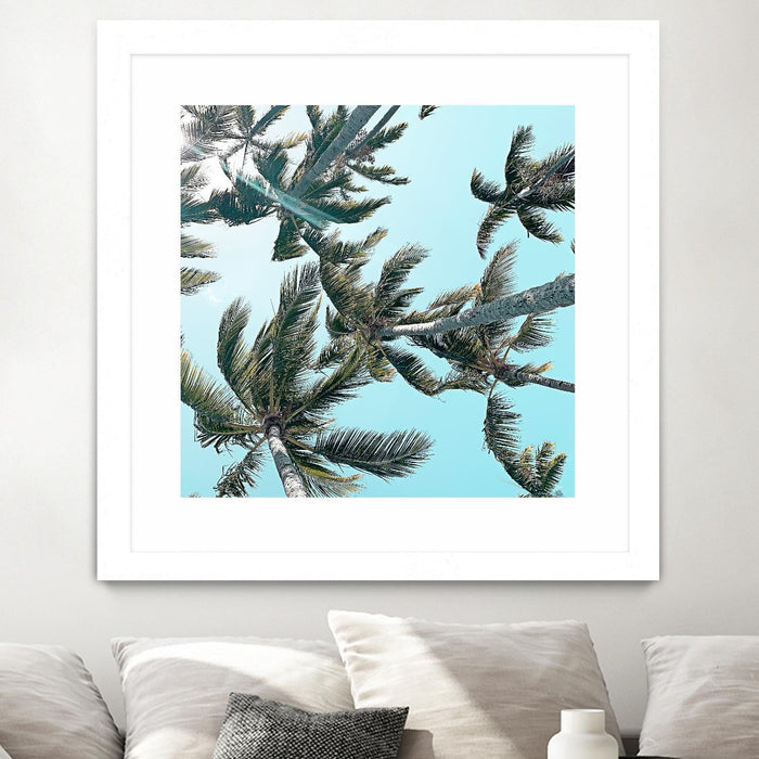\"Palm 03\" Matted and Framed White 30x30 Wall Art
