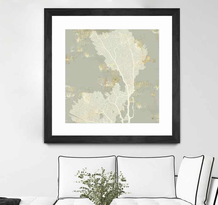 \"Sea Coral Ii\" Matted and Framed Black 36x36 Wall Art
