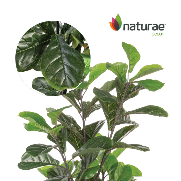 Artificial 57\" Fiddle Leaf Indoor & Outdoor In Black Pot 
