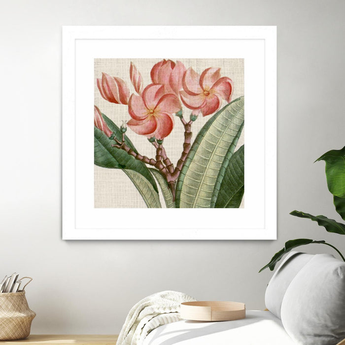 \"Cropped Turpin Tropicals Vii\" Matted and Framed White 36x36 Wall Art
