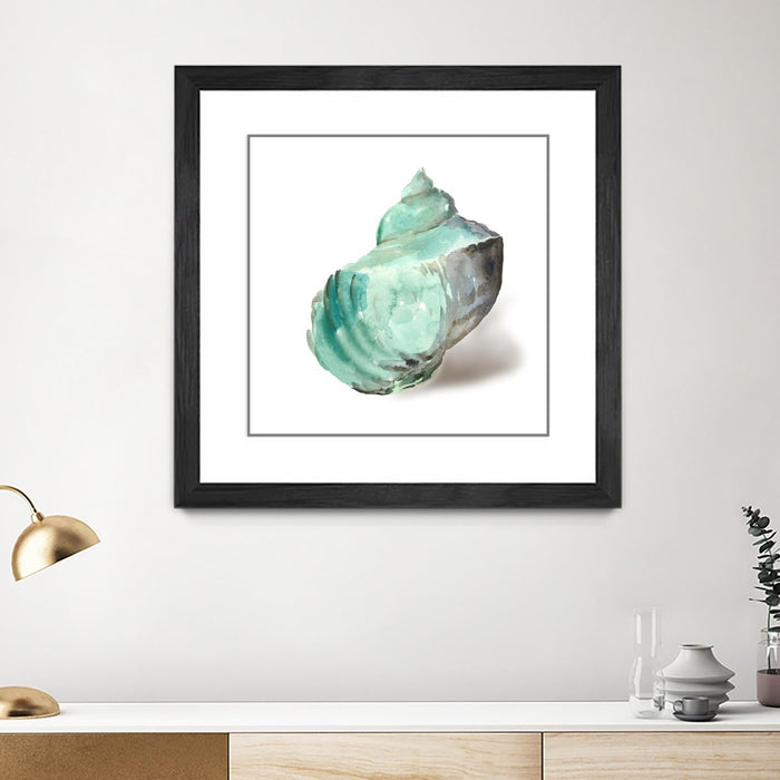 \"Shell In Mint\" Matted and Framed Black 36x36 Wall Art