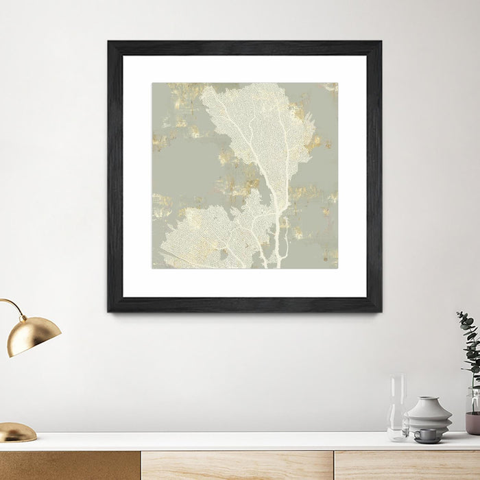 \"Sea Coral Ii\" Matted and Framed Black 36x36 Wall Art