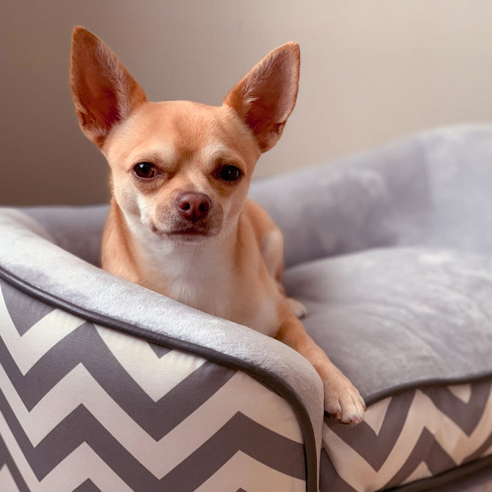Pawhut Pet Sofa Elevated Dog Bed Raised Cat Couch Puppy Furniture For Small Sized Dogs With Storage 