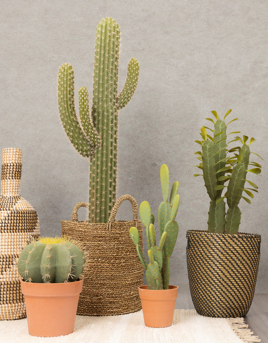Artificial 26\" Mexican Cactus In Terracotta Pot 