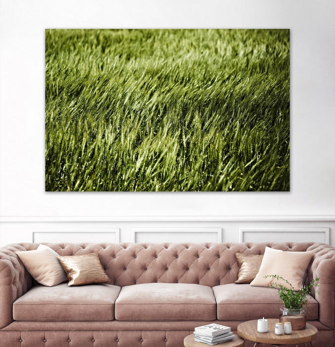 \"Grass Ii\" Giant Art 72x48 Wall Art