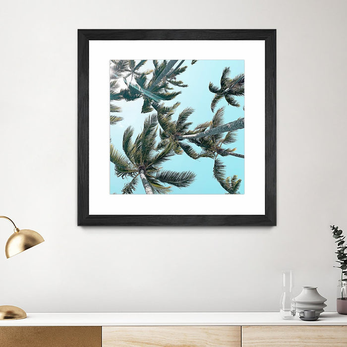 \"Palm 03\" Matted and Framed Black 36x36 Wall Art