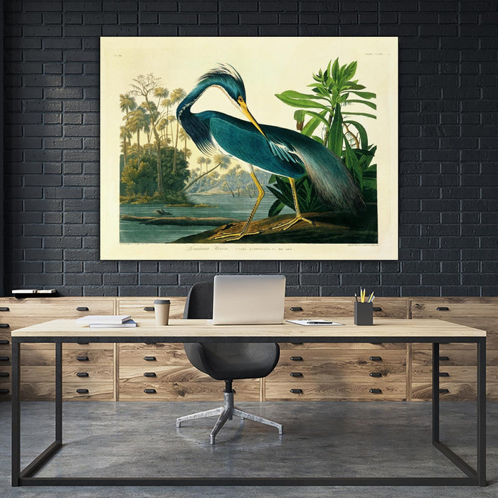 \"Louisiana Heron Plate 217\" Giant Art 72x54 Wall Art