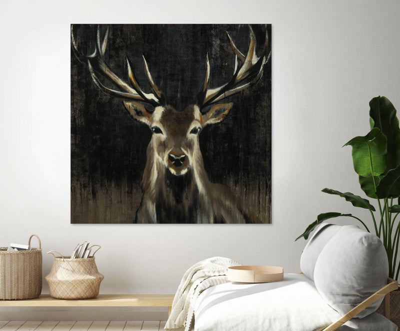 \"Young Buck\" Giant Art 54x54 Wall Art