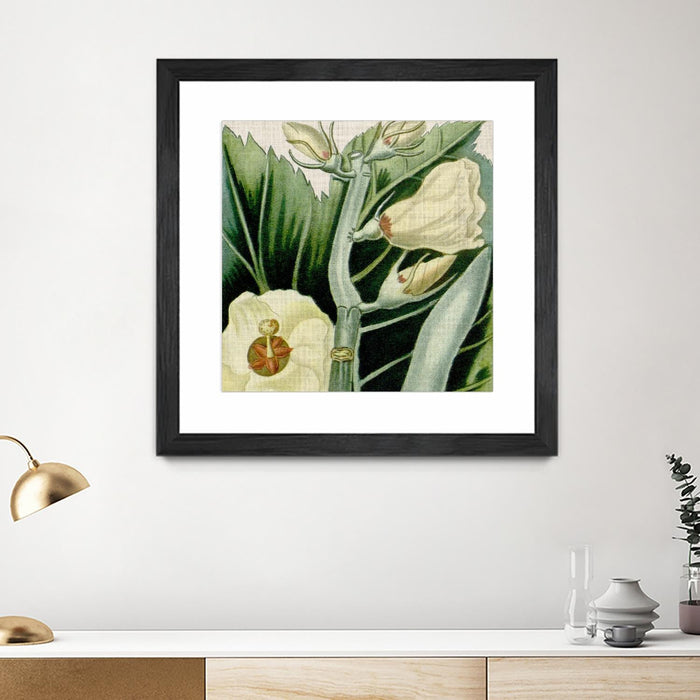 \"Cropped Turpin Tropicals Iii\" Matted and Framed Black 30x30 Wall Art