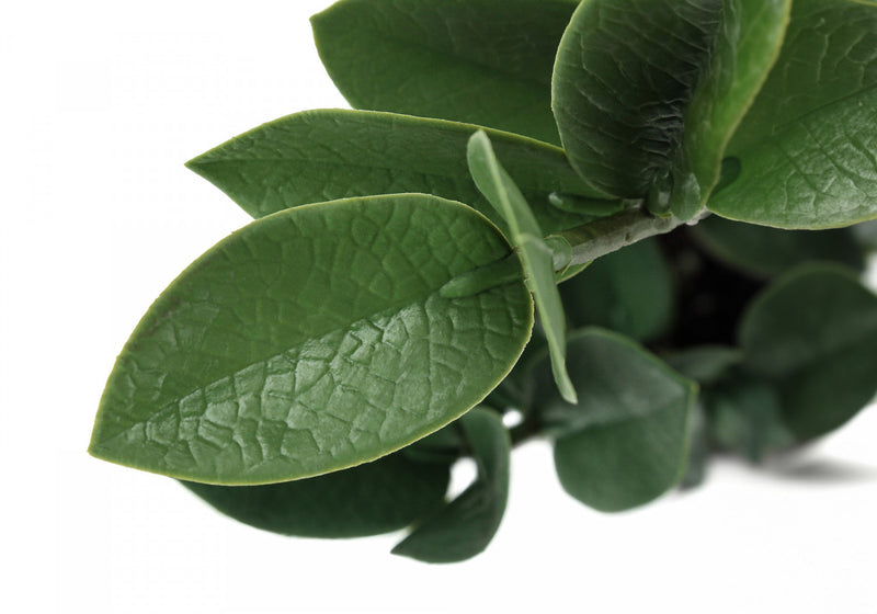 ZZ Tree 20\" Artificial Plant
