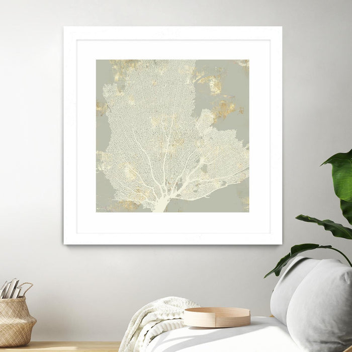 \"Sea Coral I\" Matted and Framed White 30x30 Wall Art
