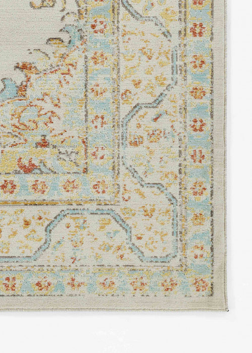 Esme Traditional 7'10\" x 10'6\" Area Rug in Ivory Indoor Area Rug 