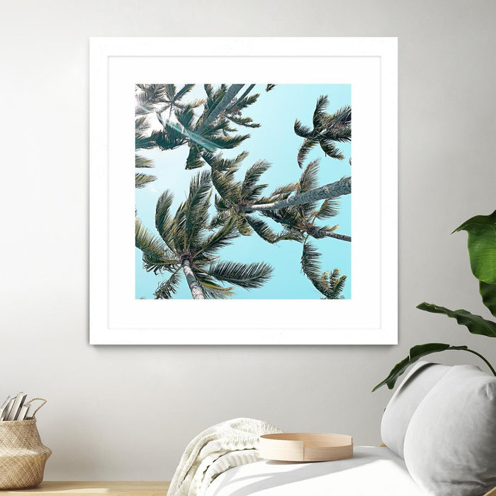 \"Palm 03\" Matted and Framed White 30x30 Wall Art