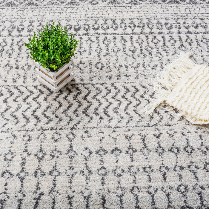 Roma Safi Grey 4x6 Area Rug 