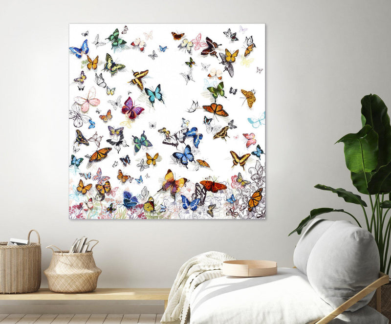 \"Papillon\" Giant Art 72x72 Wall Art