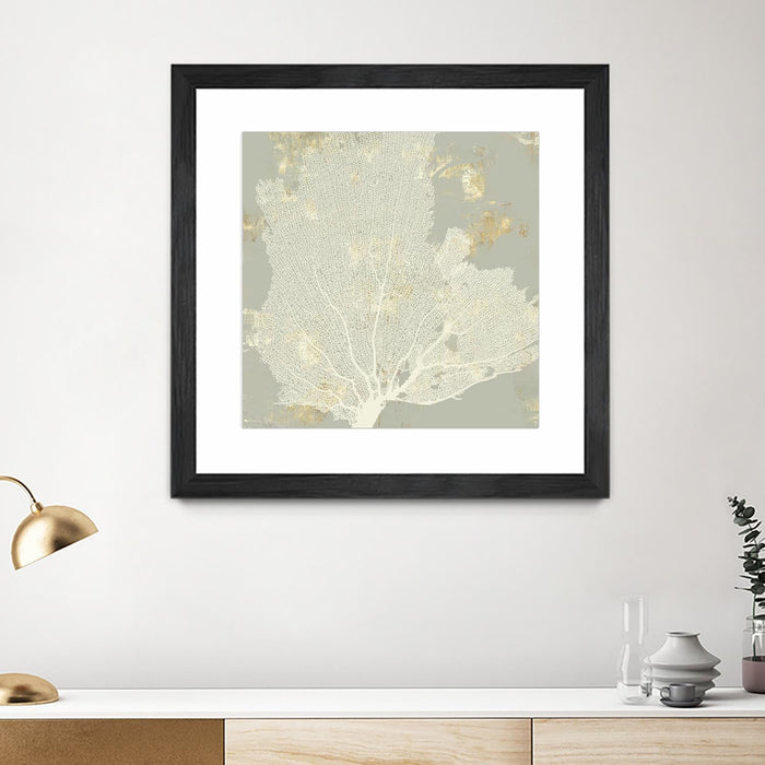 \"Sea Coral I\" Matted and Framed Black 30x30 Wall Art