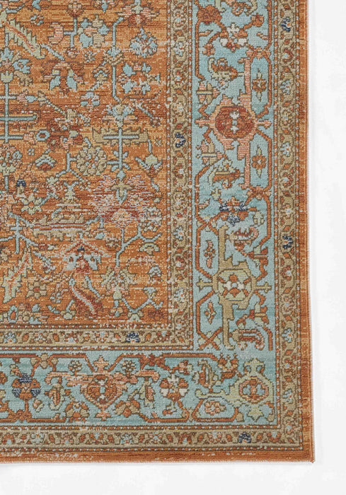 Hailey Traditional 7'10\" x 10'6\" Area Rug in Orange Indoor Area Rug 