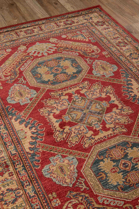 Aisha Traditional 9'3\" x 12'6\" Area Rug in Red Indoor Area Rug 