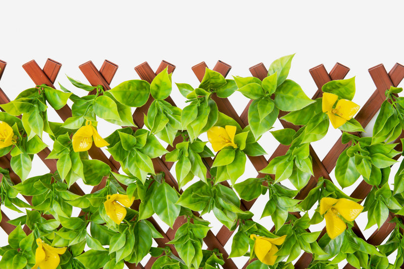 PVC  Expandable Trellis 36\"x 72\" Yellow Clematis Leaves 