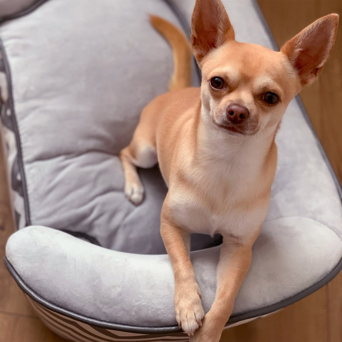 Pawhut Pet Sofa Elevated Dog Bed Raised Cat Couch Puppy Furniture For Small Sized Dogs With Storage 