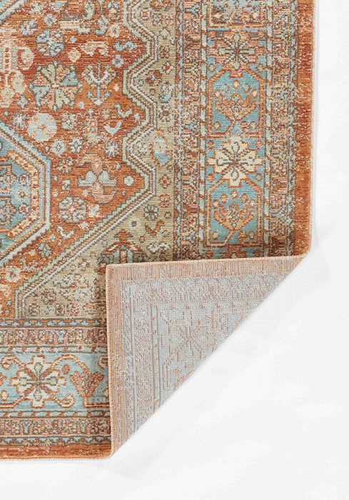 Alicia Traditional 9'3\" x 11'10\" Area Rug in Brown Indoor Area Rug 