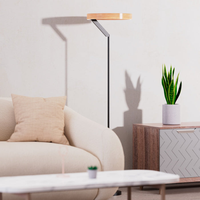 63\"  Matte Black Modern LED Floor Lamp 