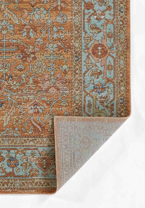 Hailey Traditional 9'3\" x 11'10\" Area Rug in Orange Indoor Area Rug 