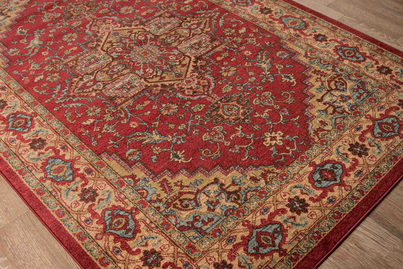Elara Traditional 9'3\" x 12'6\" Area Rug in Red Indoor Area Rug 