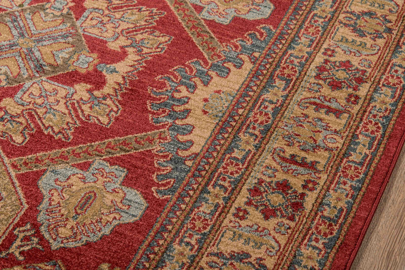 Aisha Traditional 9'3\" x 12'6\" Area Rug in Red Indoor Area Rug 