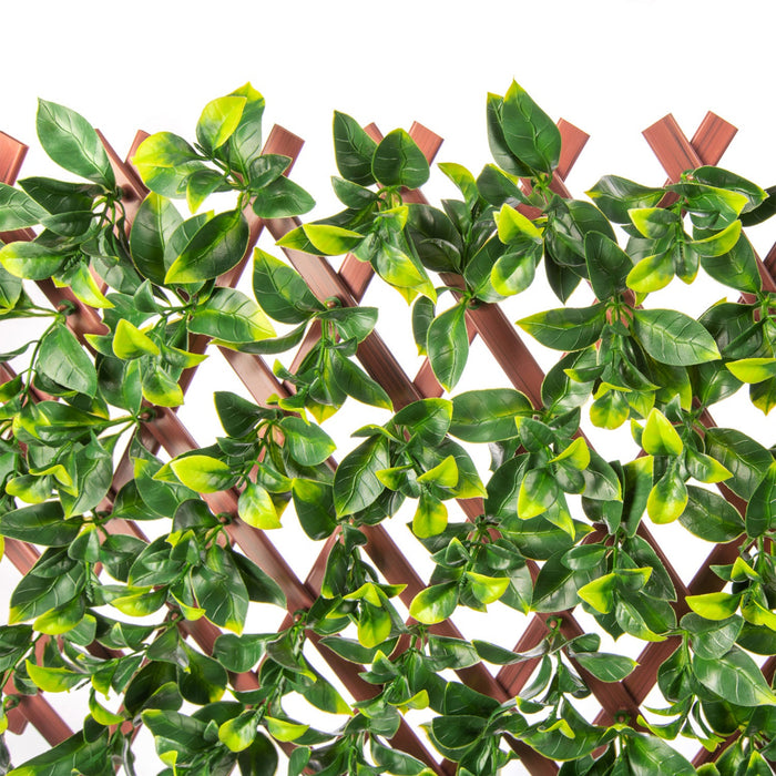 PVC Expandable Trellis 36\"x 72\" Gardenia Leaves 