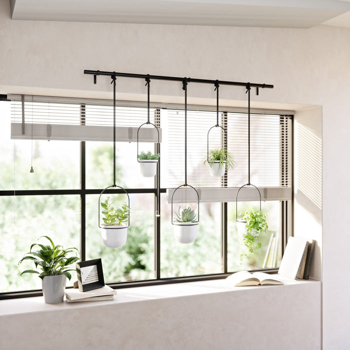 Umbra White Triflora Hanging Planter - Set of 6