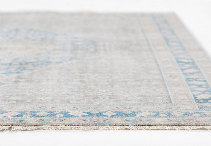 Lucia Traditional 2'6\" x 8'0\" Runner Rug in Blue Indoor Area Rug 