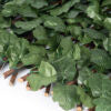 Willow Expandable Trellis 36 In X 72 In Ivy Leaves Artificial Plant