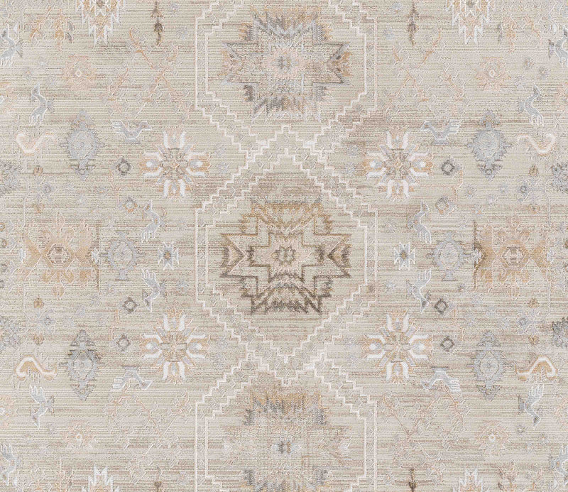 Eleanor Traditional 7'10\" x 10'10\" Area Rug in Grey Indoor Area Rug 