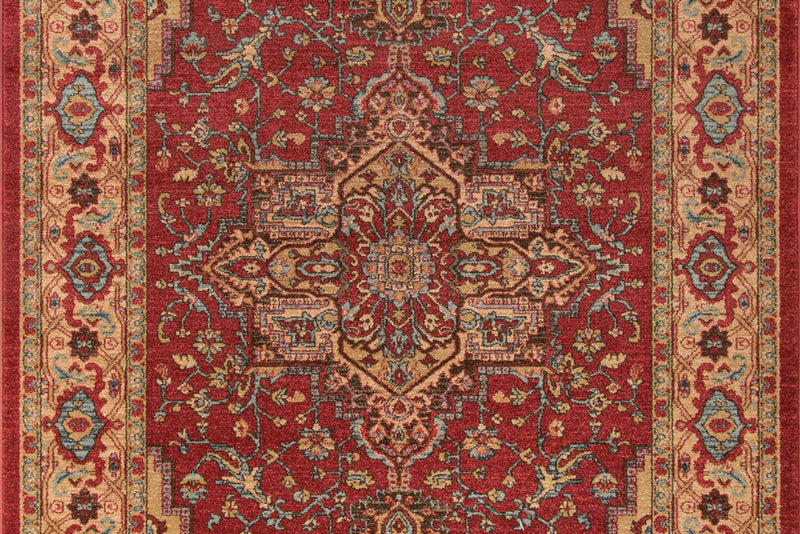 Elara Traditional 9'3\" x 12'6\" Area Rug in Red Indoor Area Rug 