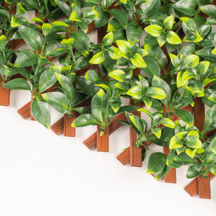 PVC Expandable Trellis 36\"x 72\" Gardenia Leaves 