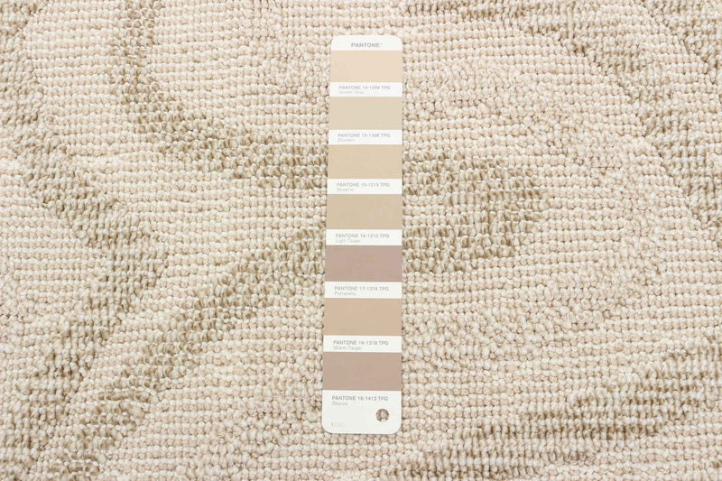 Elissa Beige Area Rug - 5'0\" x 7'0\"