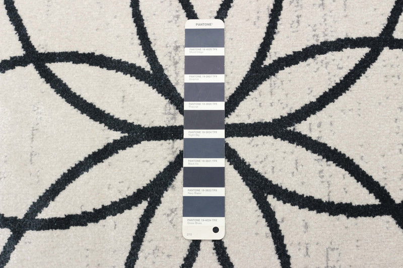 Terali Ivory Machine Washable Area Rug - 8'0\" x 10'0\"