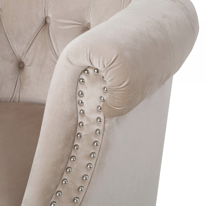 Akira Velvet Fabric Chair With Button Tufted And Nailhead Trim - Champagne 