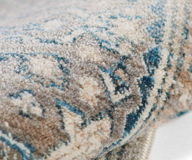 Lucia Traditional 9'0\" x 12'0\" Area Rug in Blue Indoor Area Rug 