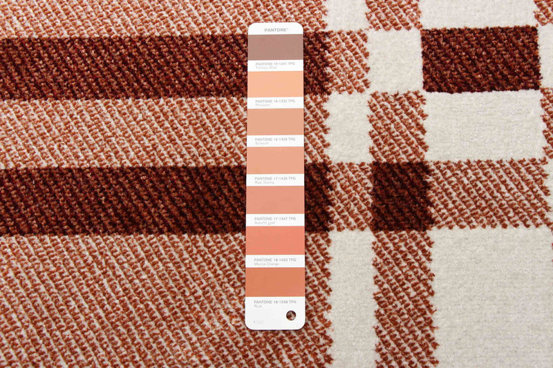 Roma Copper Machine Washable Area Rug - 6'0\" x 9'0\"